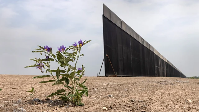 美国国土安全部宣布终止两项美墨边境墙合同