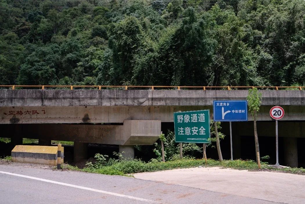 在村公路旁，一个指示牌上标记出大象通道的位置
