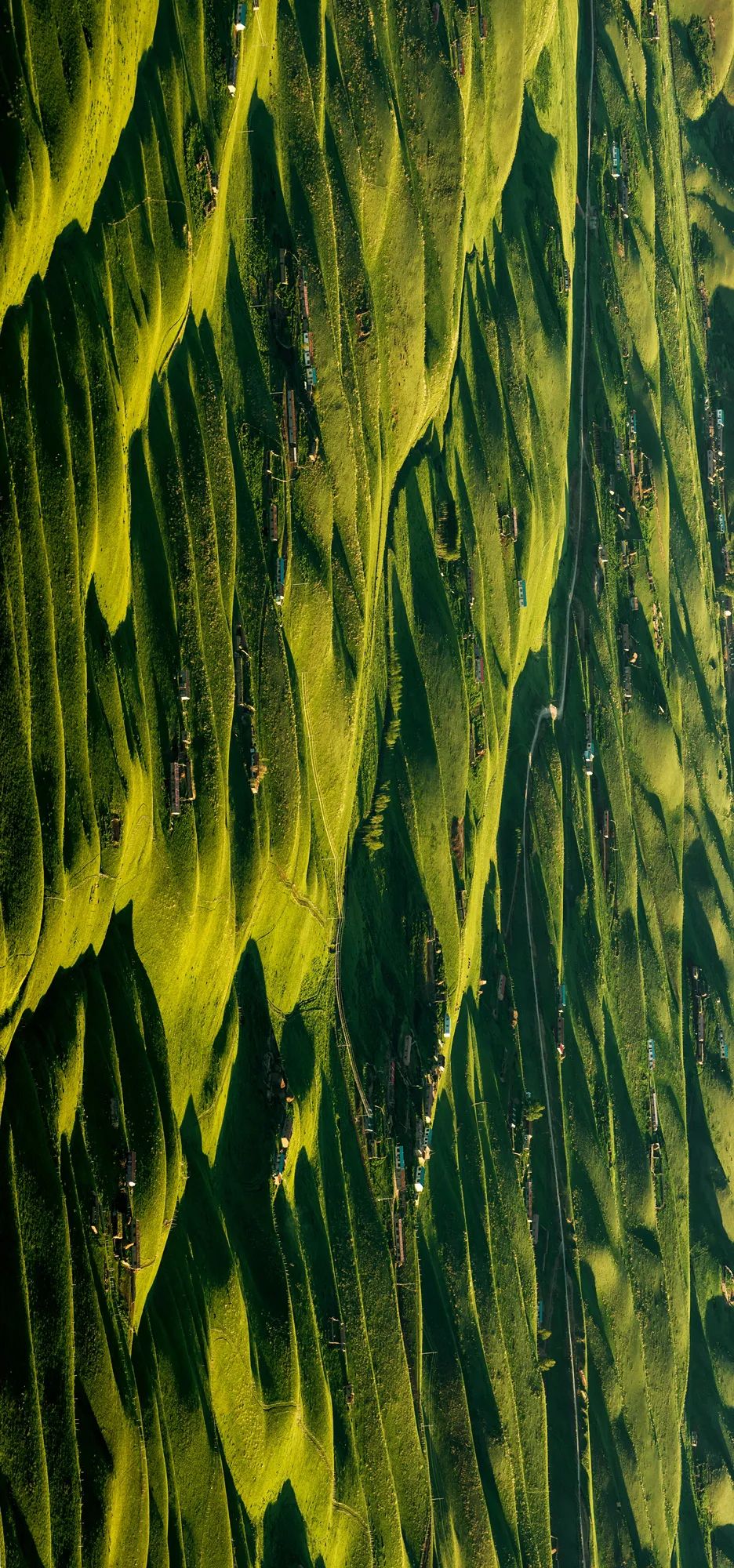 ‍▲ 喀拉峻草原，千山万壑，如同厚厚的绿色毛毯。摄影/赖宇宁