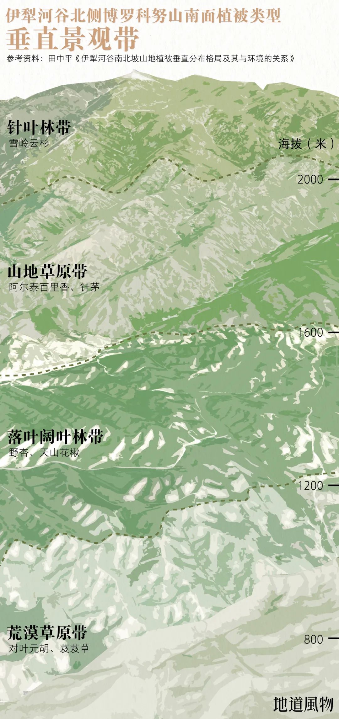 ▲ 迎风的伊犁河谷北侧，降水相对丰富，山地植被也更为茂盛。 制图 /F50BB