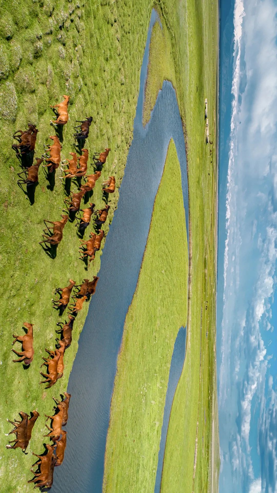 ▲ 群马奔腾在河畔，伊犁的昭苏是著名的“天马之乡”，盛产骏马。摄影/赖宇宁