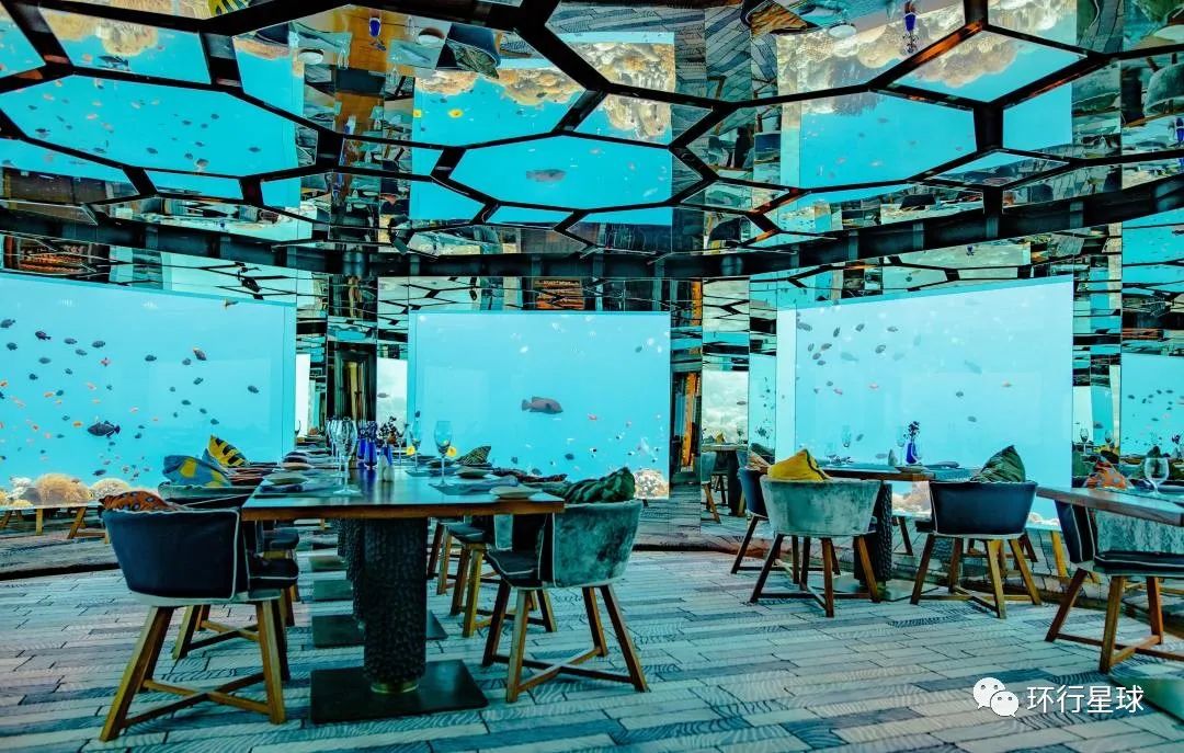 马尔代夫餐厅橱窗里都是海洋生物 图3：Ishan @seefromthesky/Unsplash