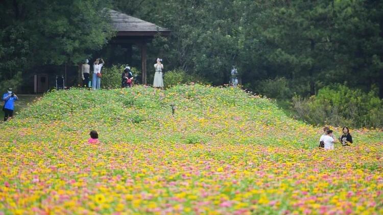 中秋小长假 北京市公园纳客201万人次