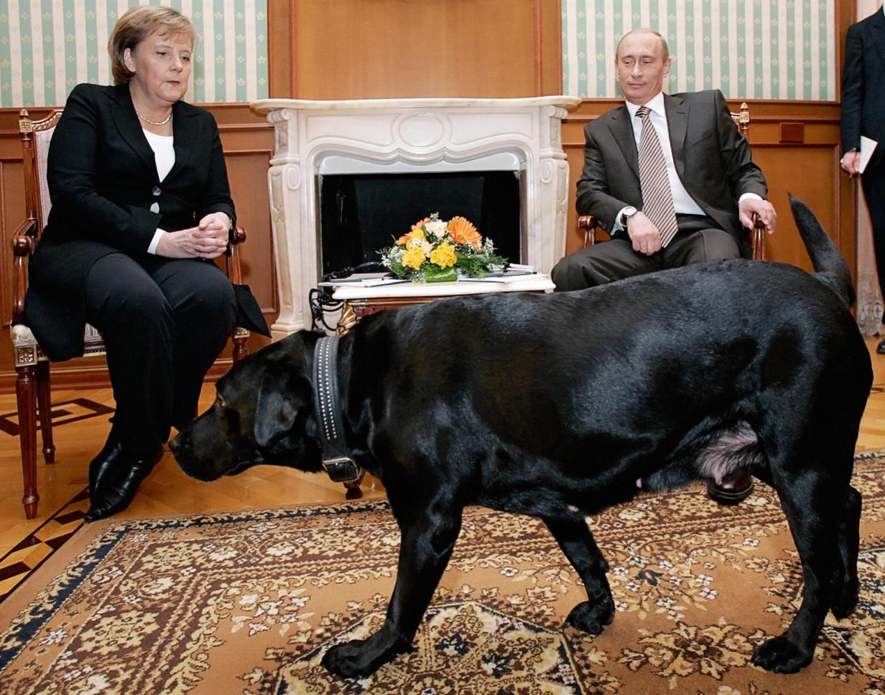 2007年，默克尔首次以总理身份访问莫斯科，普京的爱犬闯入房间。《纽约时报》报道称，普京此前已经被告知，在十年前被狗咬伤后，默克尔一直对狗“感到不安”。