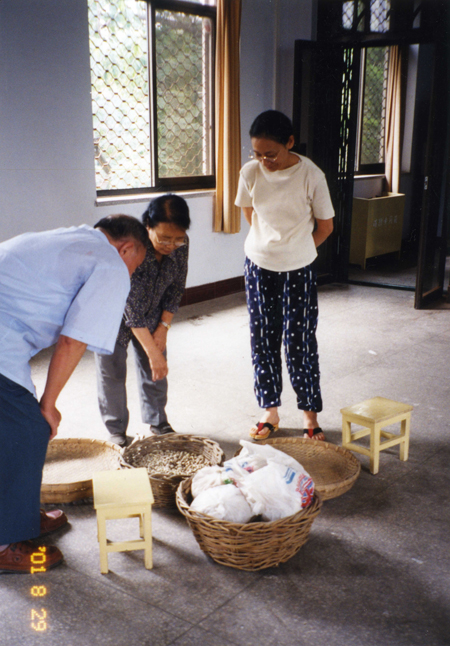 郑振香与日本学者对妇好墓所出海贝做分类工作