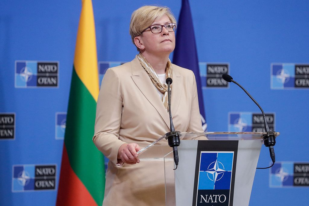 立陶宛总理因格丽达·希莫尼特（资料图）