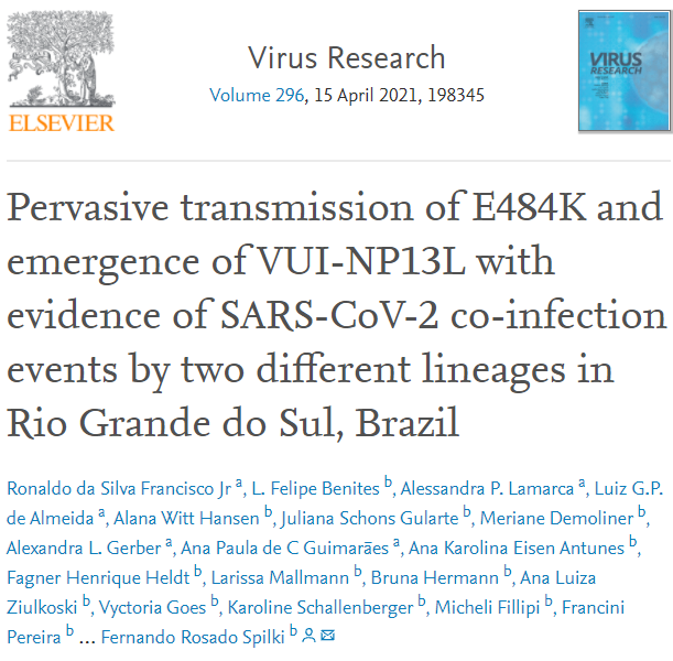 《病毒研究》（Virus Research）今年4月刊登的论文。结果显示，新冠的两种不同毒株（B.1.1.28和VUI-NP13L）可以同时感染。