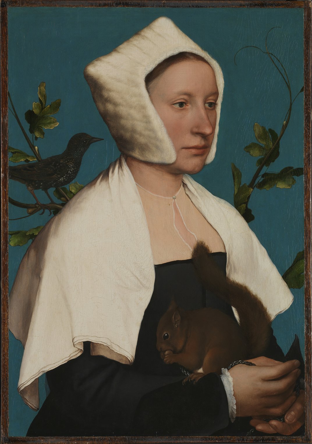 荷尔拜因，《一位带着松鼠和椋鸟的女士（安妮·洛弗尔？）》，约1526-28年，英国国家美术馆藏