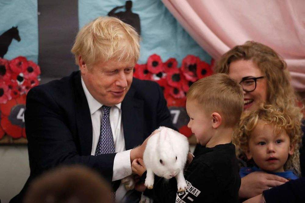 英国首相约翰逊参观学校 怀抱小兔子与儿童互动。  资料图