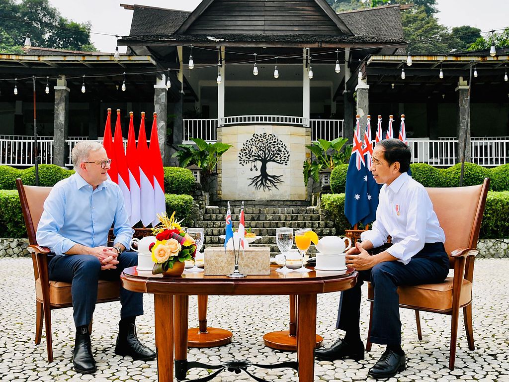 当地时间2022年6月6日，印尼茂物，印尼总统佐科（右）会见澳大利亚总理阿尔巴内塞。人民视觉 图