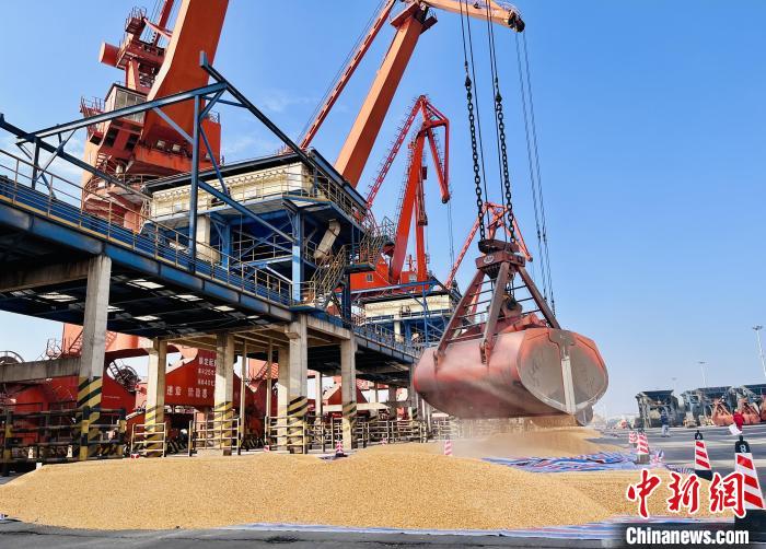 中国侨网巴西玉米取样待送海关检验 中粮集团供图