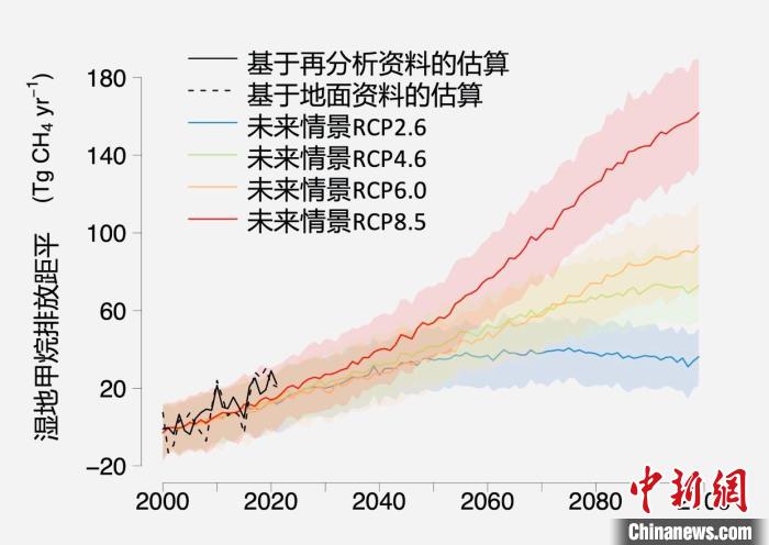 基于观测的湿地甲烷排放变化与未来气候变化情景下估算的对比。 中科院青藏高原所 供图 基于观测的湿地甲烷排放变化与未来气候变化情景下估算的对比。 中科院青藏高原所 供图