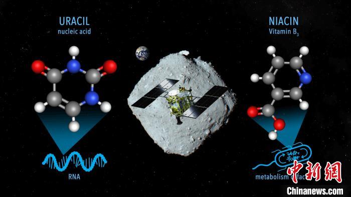 国际最新研究称,近地小行星“龙宫”上发现尿嘧啶等核酸碱基