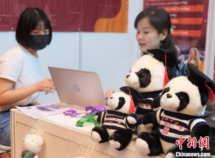北京理工大学带来可爱熊猫玩偶,颇为吸睛 陈悦 摄 北京理工大学带来可爱熊猫玩偶,颇为吸睛 陈悦 摄