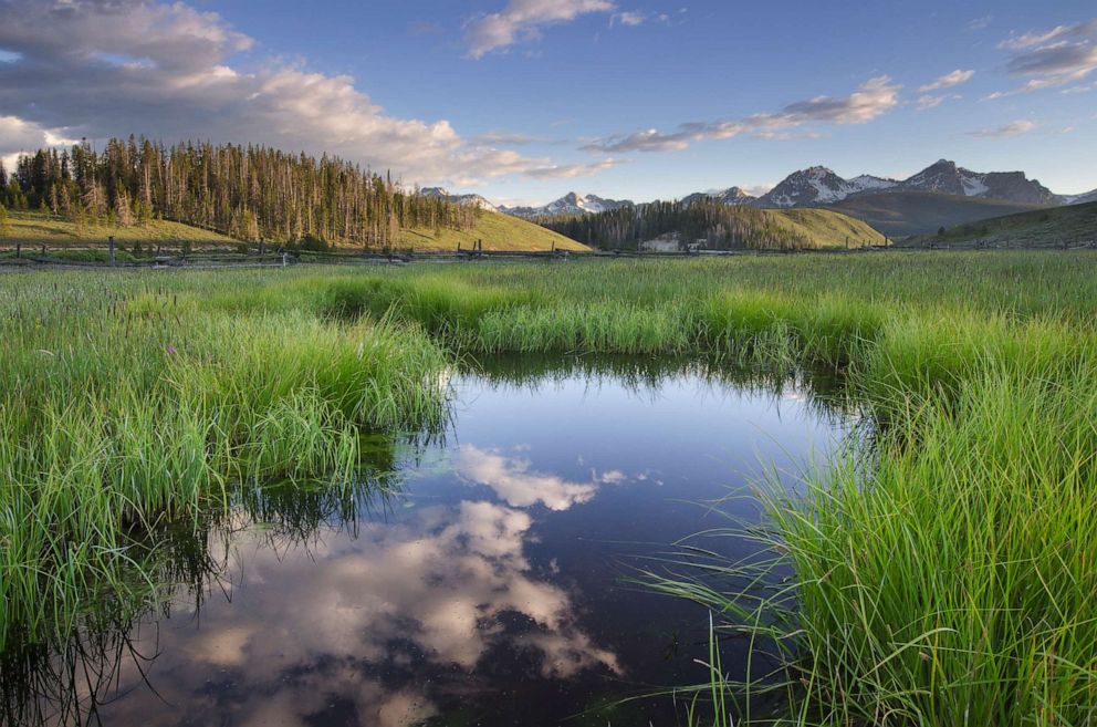 PHOTO: Wetlands in Stanley Basin, Sawtooth Mountains, Idaho.