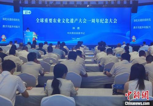 中国侨网全球重要农业文化遗产大会一周年纪念大会现场。 傅飞扬 摄
