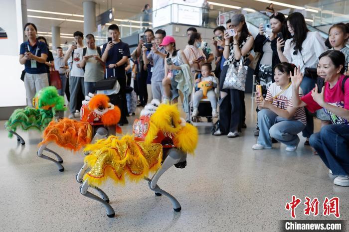 中国侨网6月29日,旅客在虹桥机场T2航站楼内,用手机拍摄“机器狗”表演。当日,上海机场集团推出一系列“文化+商业+服务”的系列活动,为广大旅客提供更具人文气质和服务品质的出行体验。中新社记者 殷立勤 摄