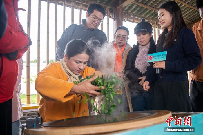 中国侨网11月18日，来自泰国、柬埔寨、老挝等国家和地区的媒体人，在广西来宾市象州县学习古琶茶制作、茶礼等，体验中国茶文化。象州种茶历史悠久，是唐代陆羽所著《茶经》中记载的岭南主产茶区。图为广西壮族自治区非物质文化遗产代表性项目古琶茶制作技艺代表性传承人冯康玲演示炒茶。中新社记者 翟李强 摄　