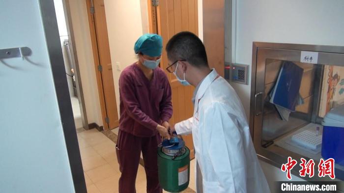 脐血送达医院 广东省脐血库供图 摄 脐血送达医院 广东省脐血库供图 摄